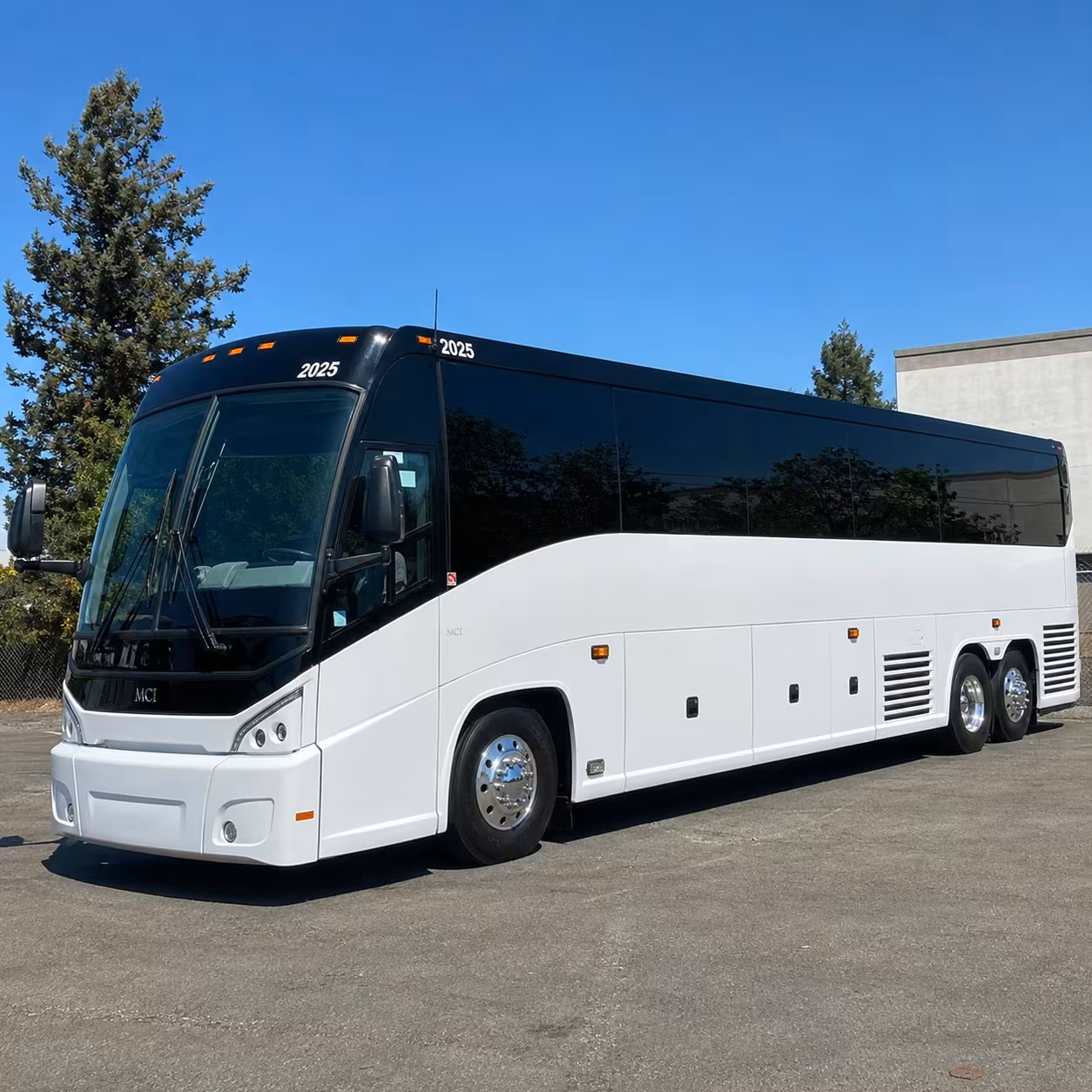 56 passenger charter bus