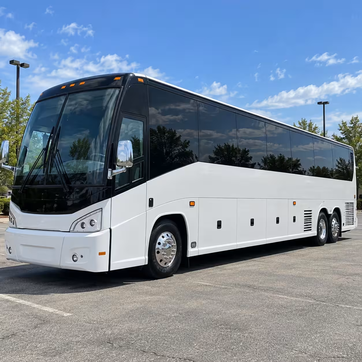 buffalo bandits lacrosse bisons baseball game transportation