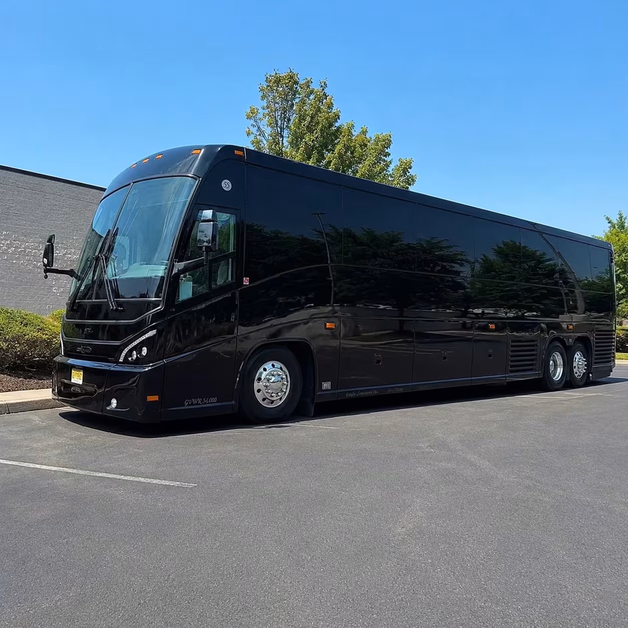 buffalo long distance group transportation for every occasion